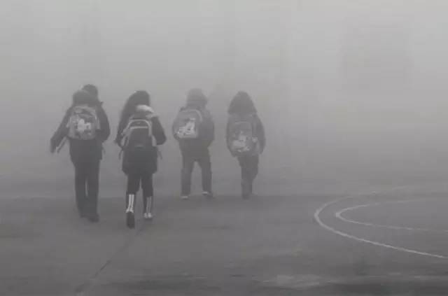 1451358935510036291.jpg 640.jpg